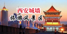 caoni网中国陕西-西安城墙旅游风景区